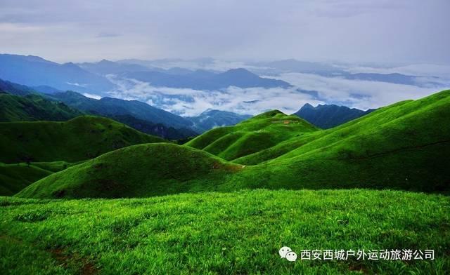 球球大作战下载最新版